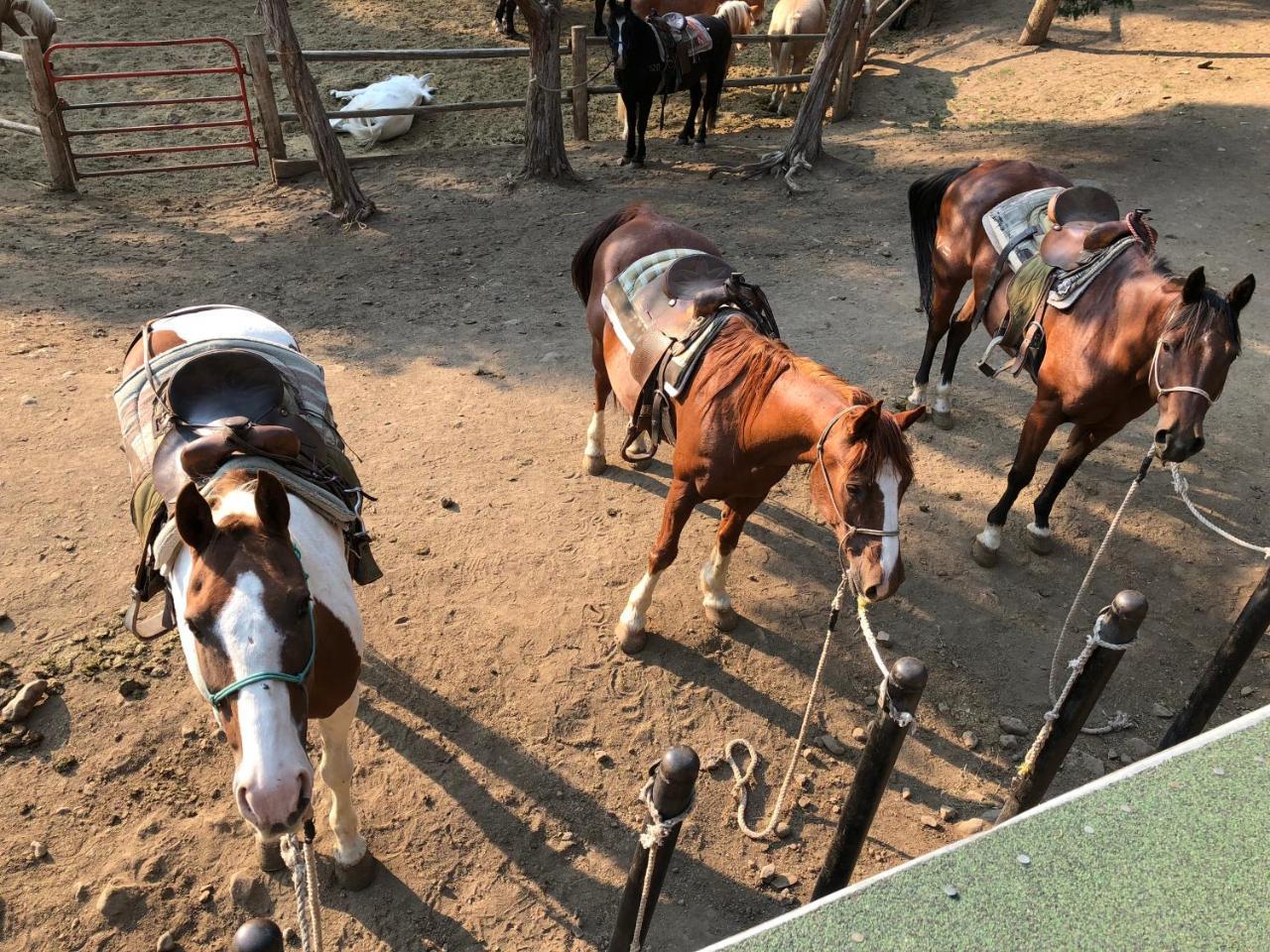 Bill Cody Ranch Otel Dış mekan fotoğraf