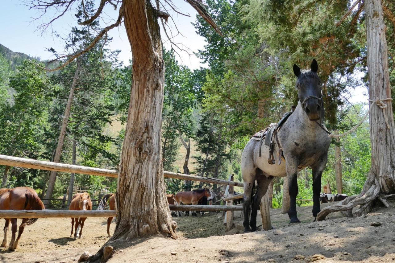 Bill Cody Ranch Otel Dış mekan fotoğraf