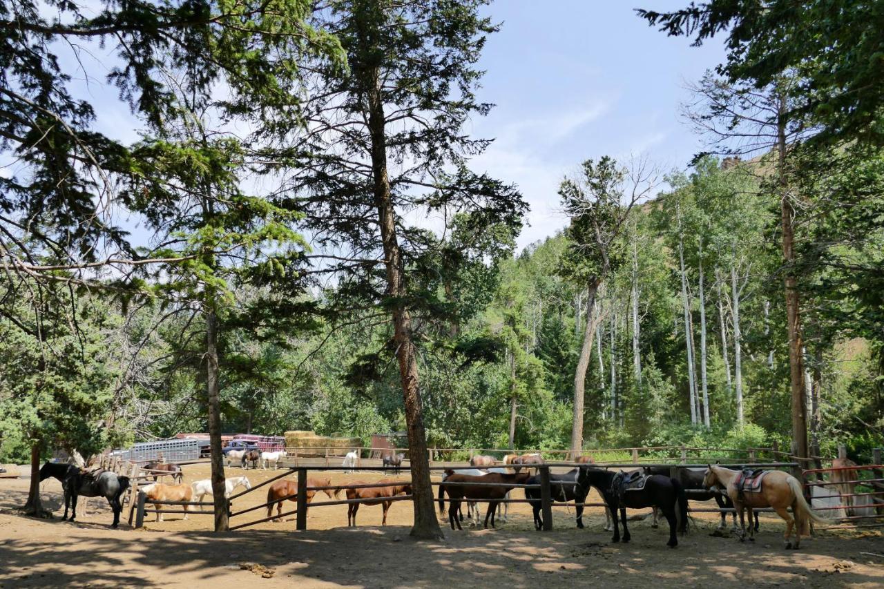 Bill Cody Ranch Otel Dış mekan fotoğraf